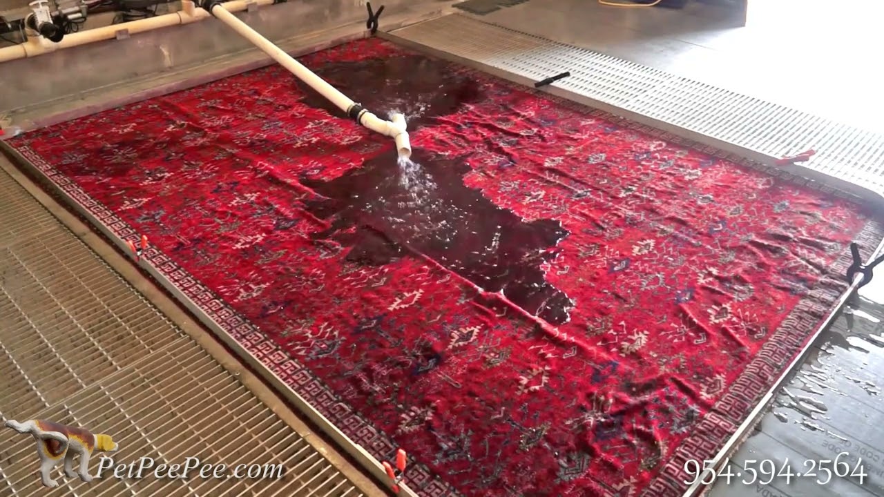 Removing the urine odor from Oriental rug Chemicals free