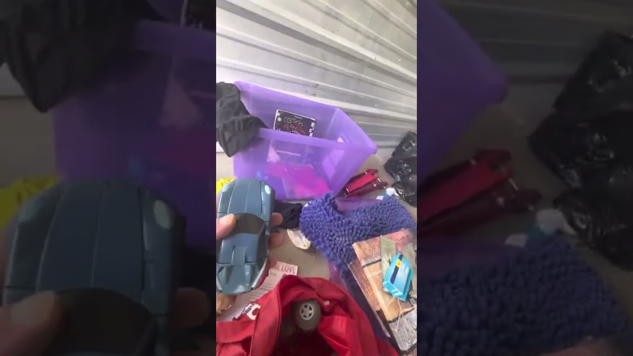 Locker fox storage auction