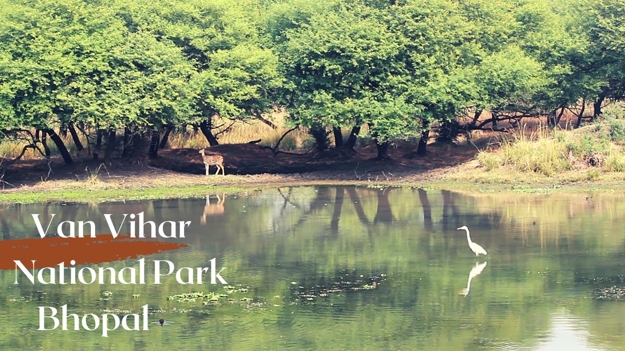 Van Vihar I must see destination for tourists visiting Bhopal I ideal example of eco-restoration I
