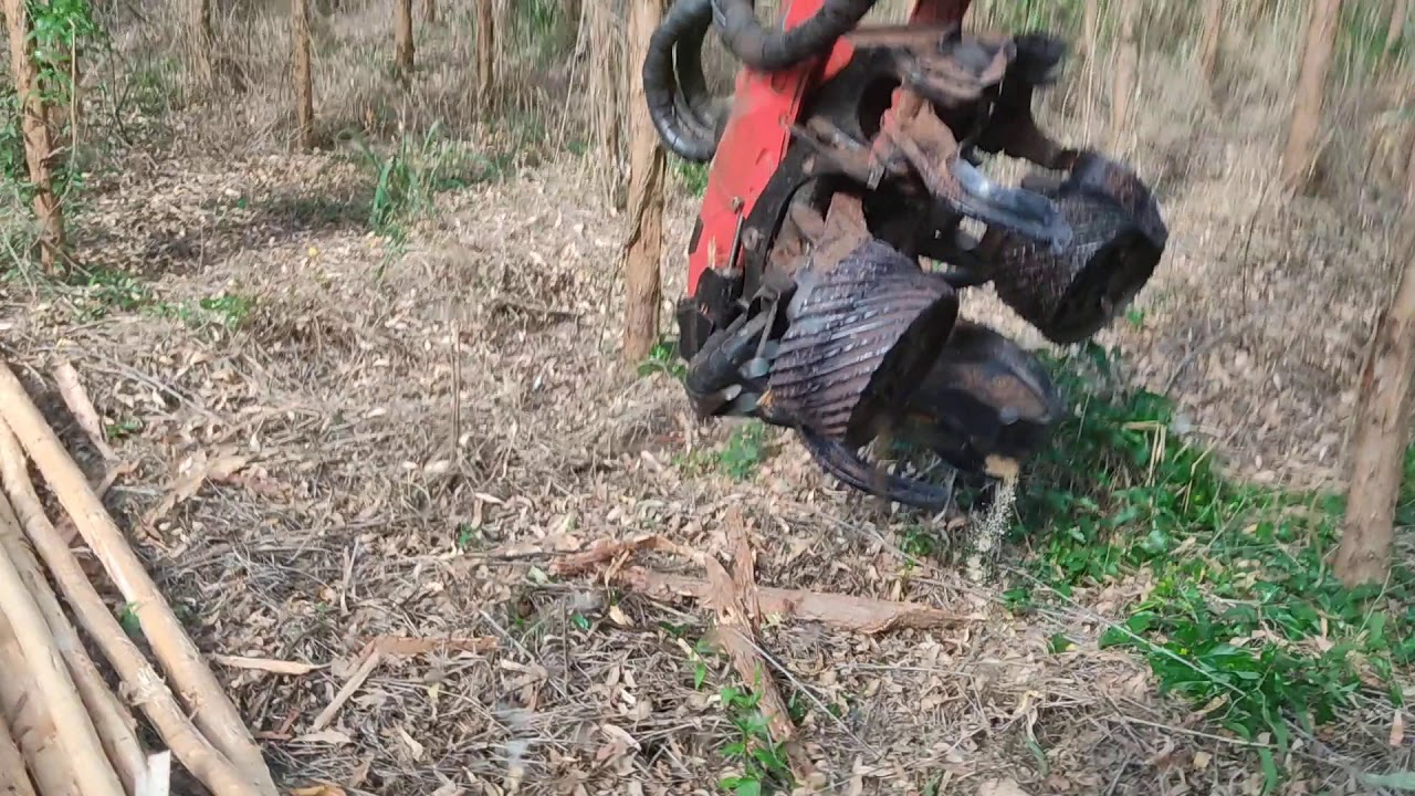 Operação Harvester , Colheita abertura de Eito com 5 linhas.