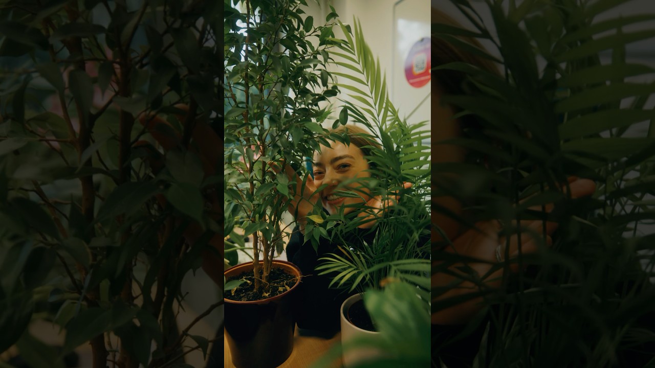 Bringe Natur ins Büro! 🌱 Adventskalender Türchen 2 💫 