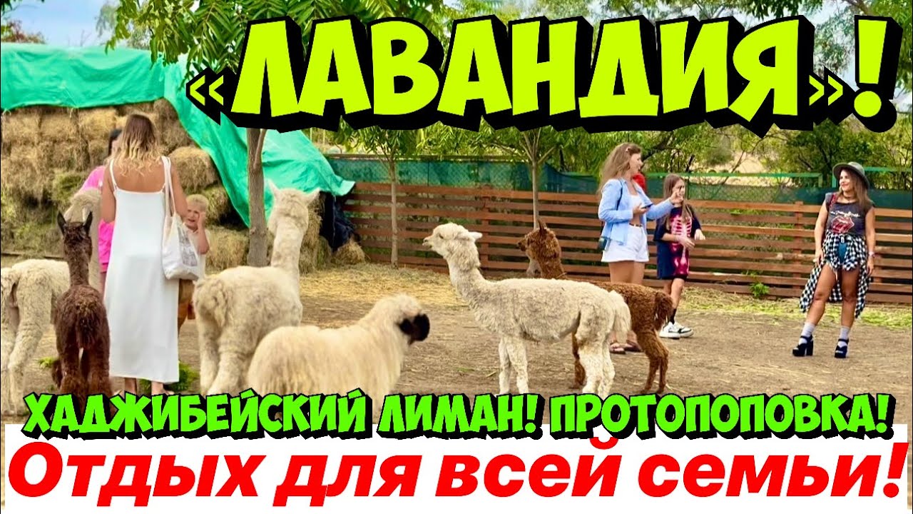 УЕХАЛА ИЗ ОДЕССЫ В «ЛАВАНДИЮ»❗️ ОДЕССКАЯ ОБЛАСТЬ❗️ПРОТОПОПОВКА❗️ «ЛАВАНДИЯ» - ОТДЫХ ДЛЯ ВСЕЙ СЕМЬИ