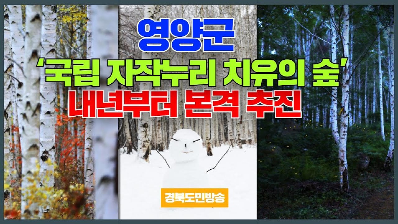 Yeongyang County Office Governor O Do-chang to Launch National Jajak Nuri Healing Forest Project ...