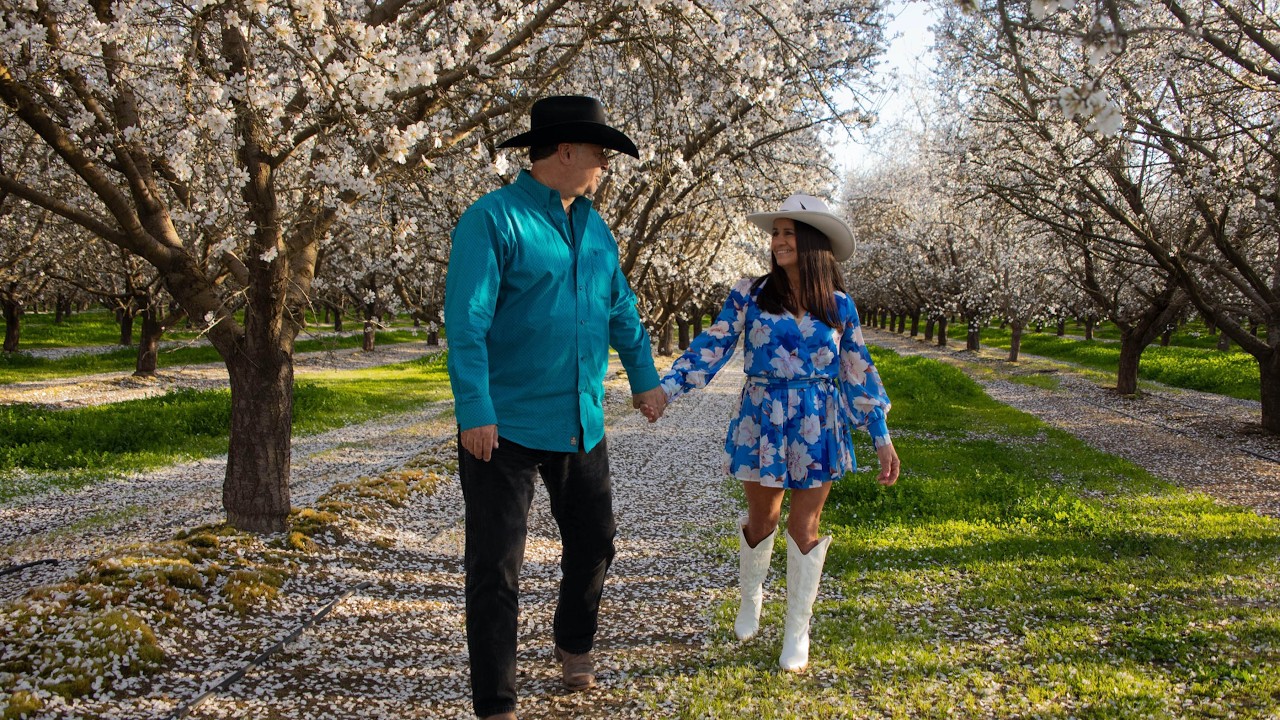 Blossoming Almond Orchards In The Central Valley - A Short Photo Shoot