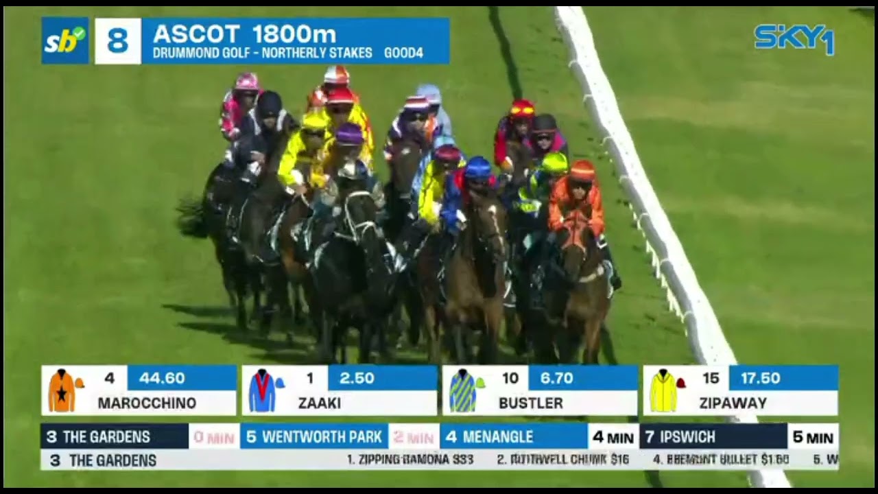DOM TO SHOOT - Northerly Stakes 2023(3YO+ G1) Group 1 1800m Ascot 9 December