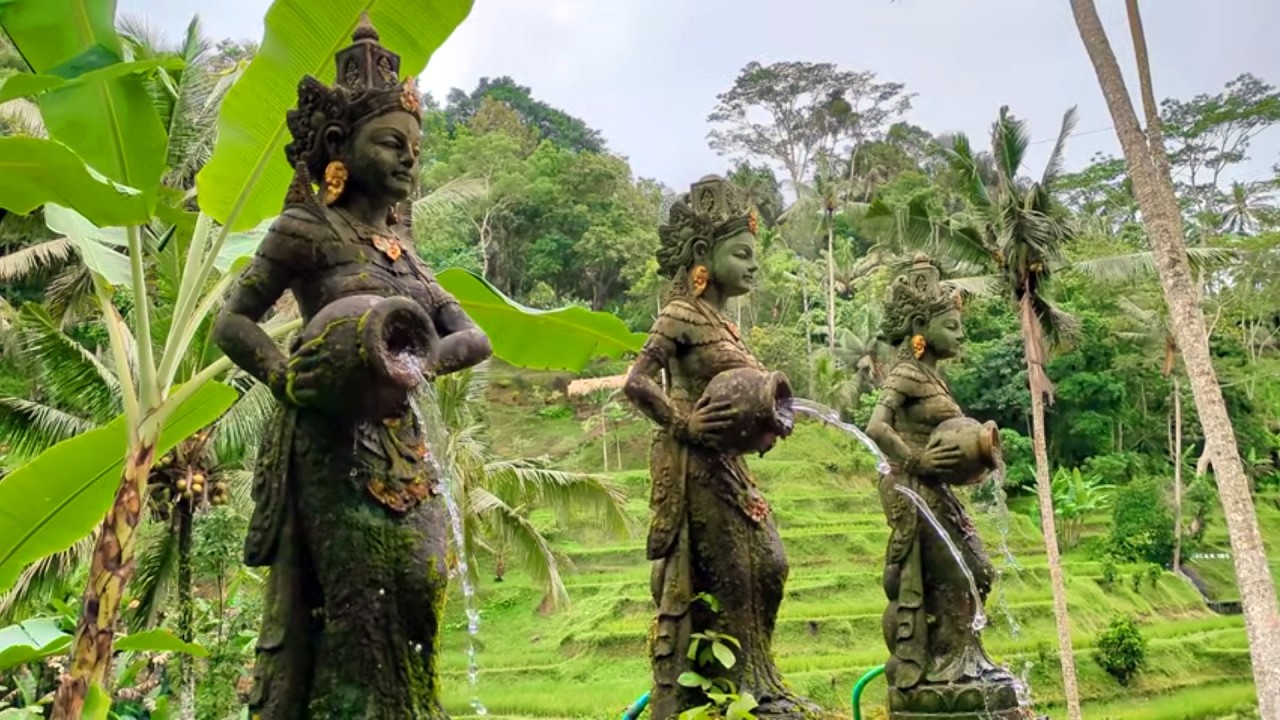 Shinrin-yoku - the art of forest bathing 森林浴