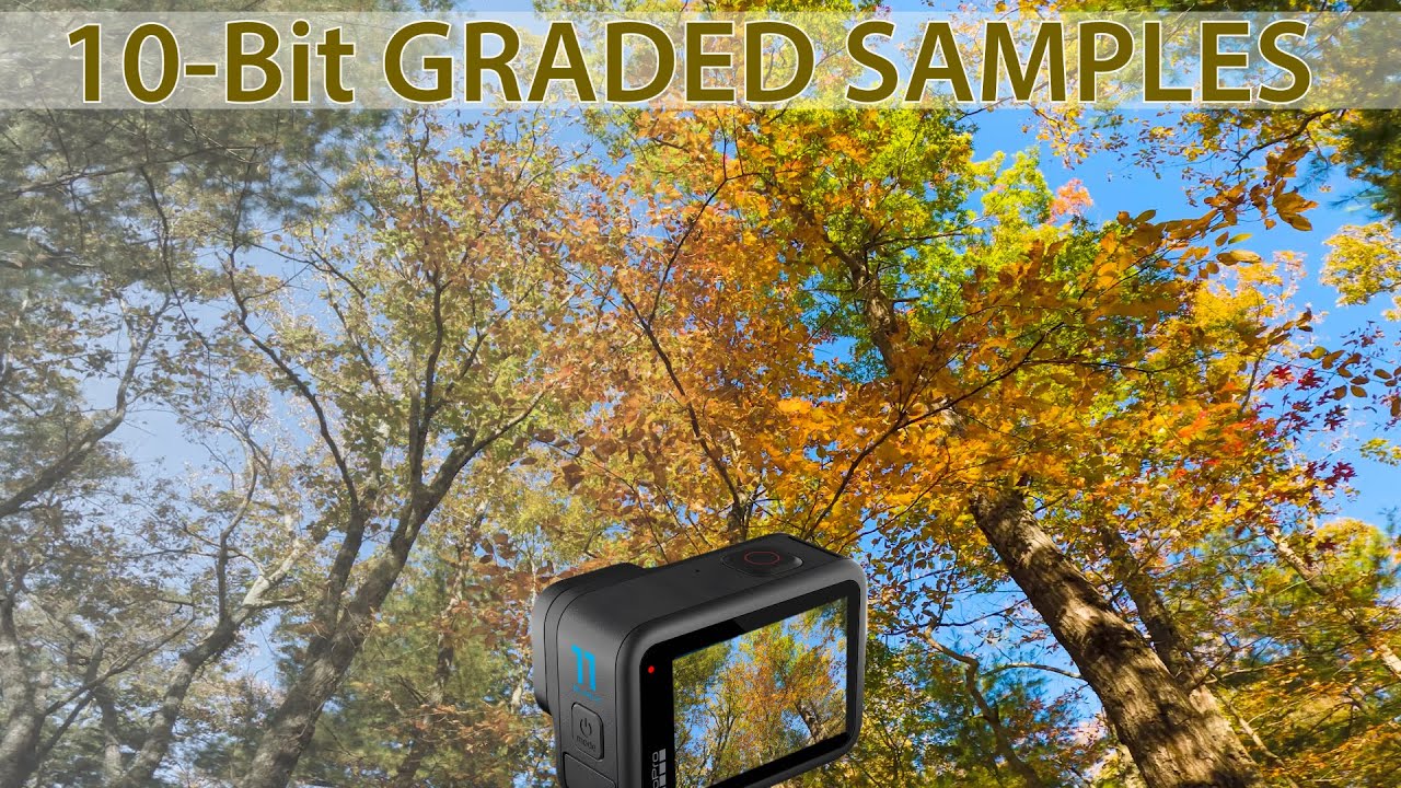 GoPro Hero 11 | SAMPLES of GRADED FLAT 10-Bit FOOTAGE