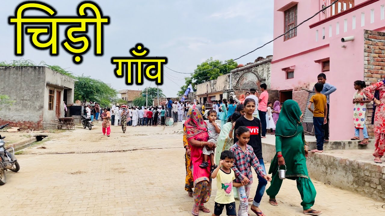 चिड़ी गाँव । CHIRI VILLAGE । Chiri Lakhan Majra Rohtak । Chiri Ki Video । #chirivillage #village