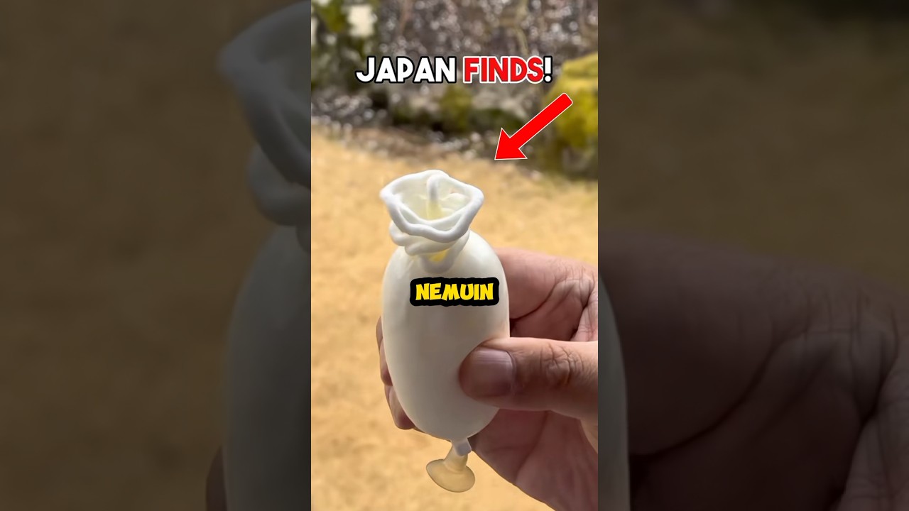 Hal unik di jepang yang nggak ada di tempat lain!?