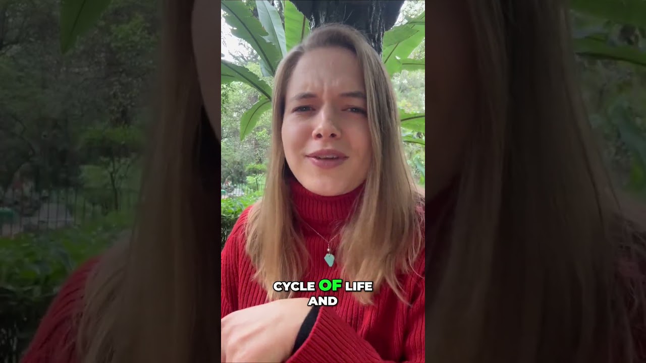I Quit My 6-Figure Job & Moved to Mexico!