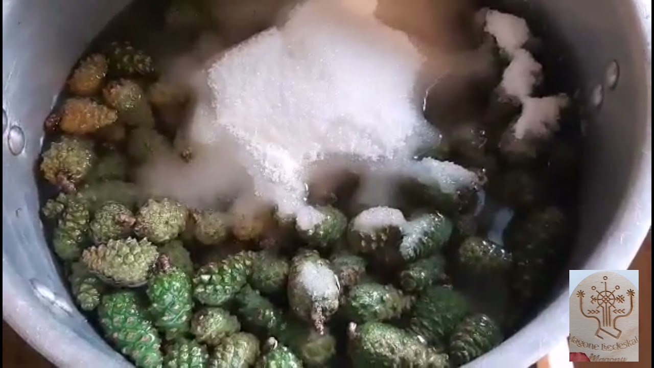 Priežu čiekuru sīrups.