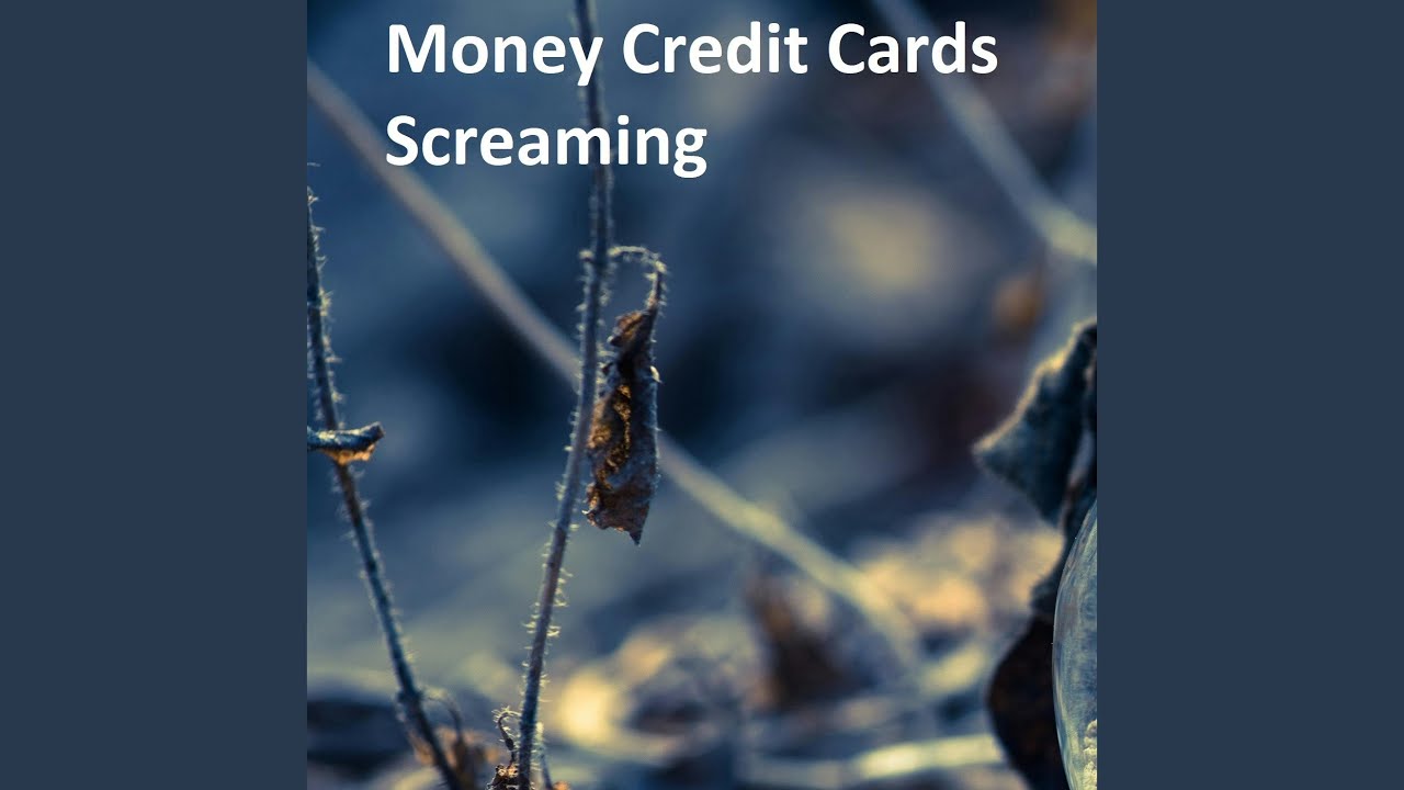 Money Credit Cards Screaming