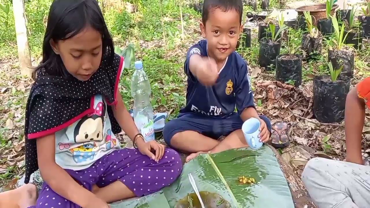 Serunya memasak sambal goreng pete dan tumis pakis liar di kebun karet