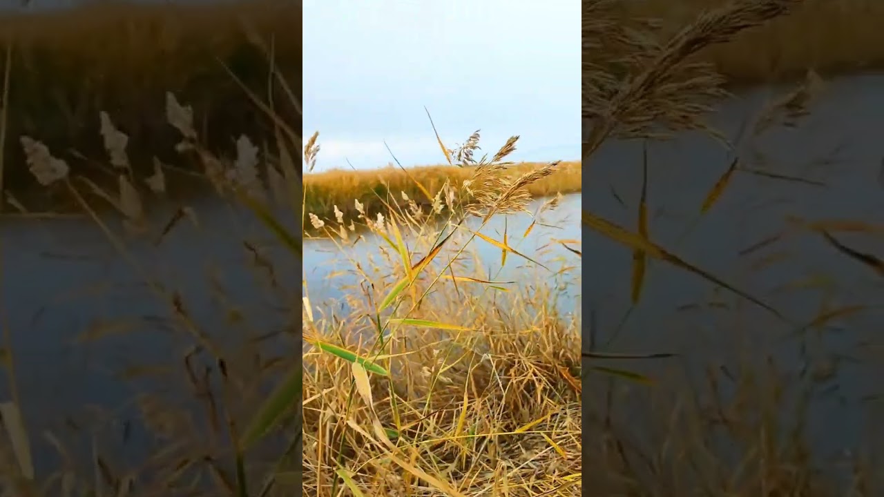 Не предсказуемая красота природа Unpredictable beauty of nature