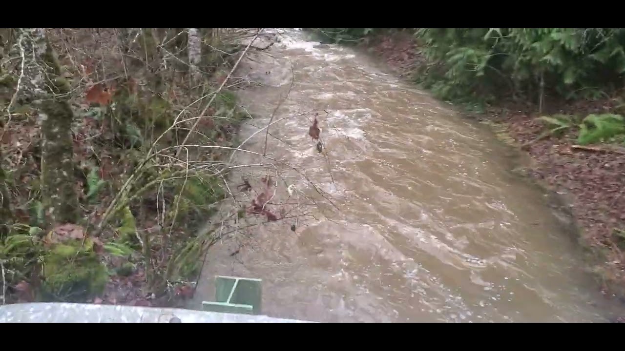 Canyon Creek in Sequim WA a so high December 27, 2022