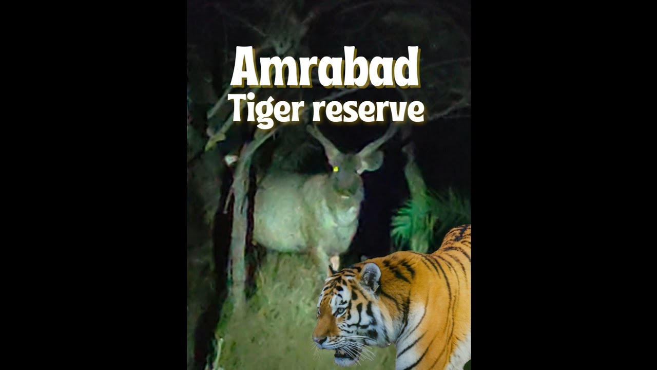 Amrabad Tiger Reserve, Telangana