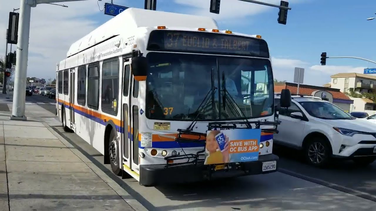 OCTA 7555