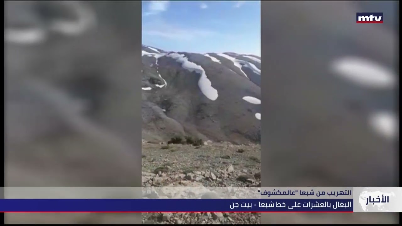 03/07/2022 - التهريب من شبعا عالمكشوف