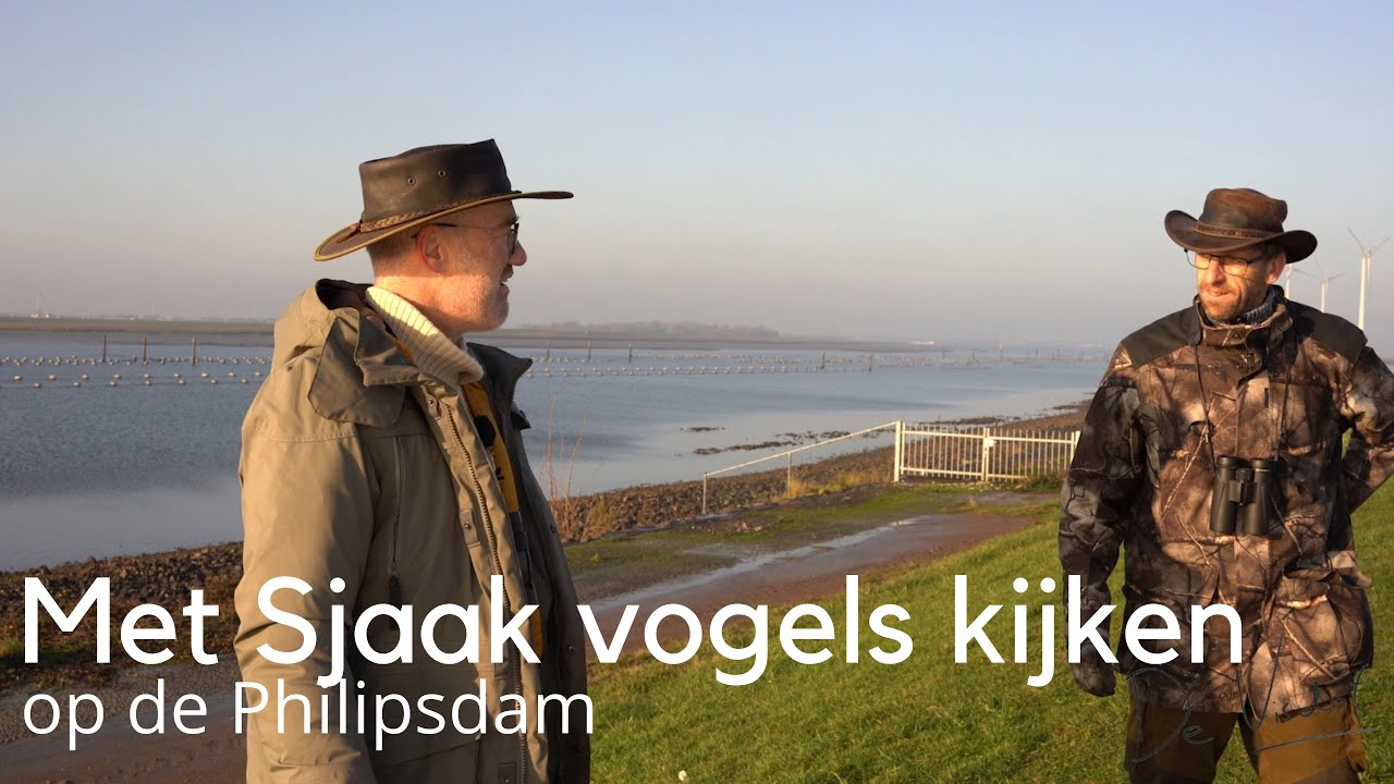 Met Sjaak vogels kijken op de Philipsdam #1677