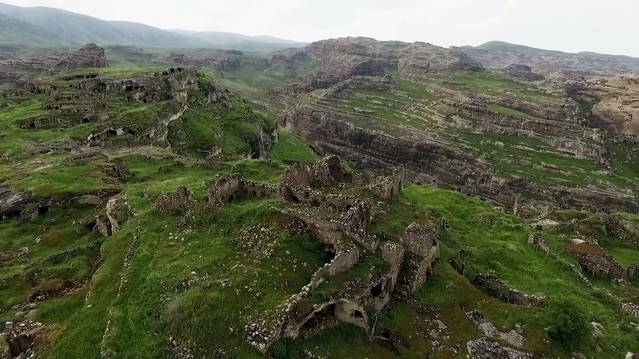 Selîm Temo: 