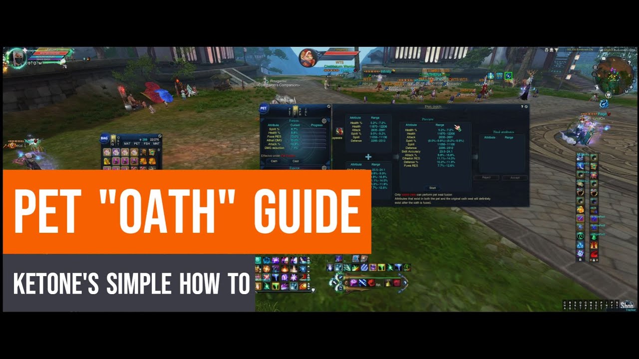 IGN `Ketone | New Pet Oath Guide | Jade Dynasty Reborn (JDR)