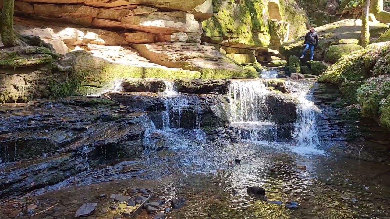 Wandern im Monbachtal