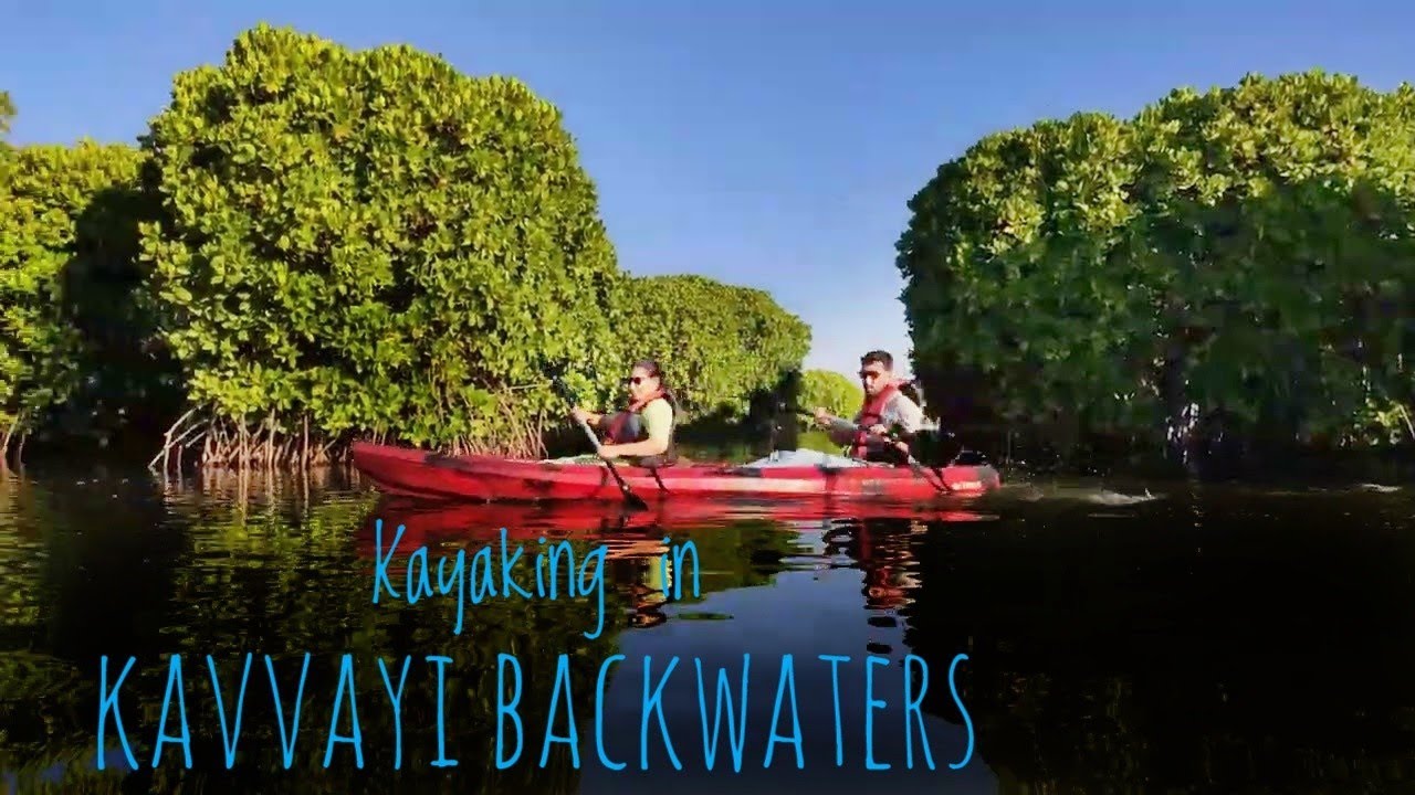 Kayaking | Kavvvayi Backwaters | Mangroves | Payyannur