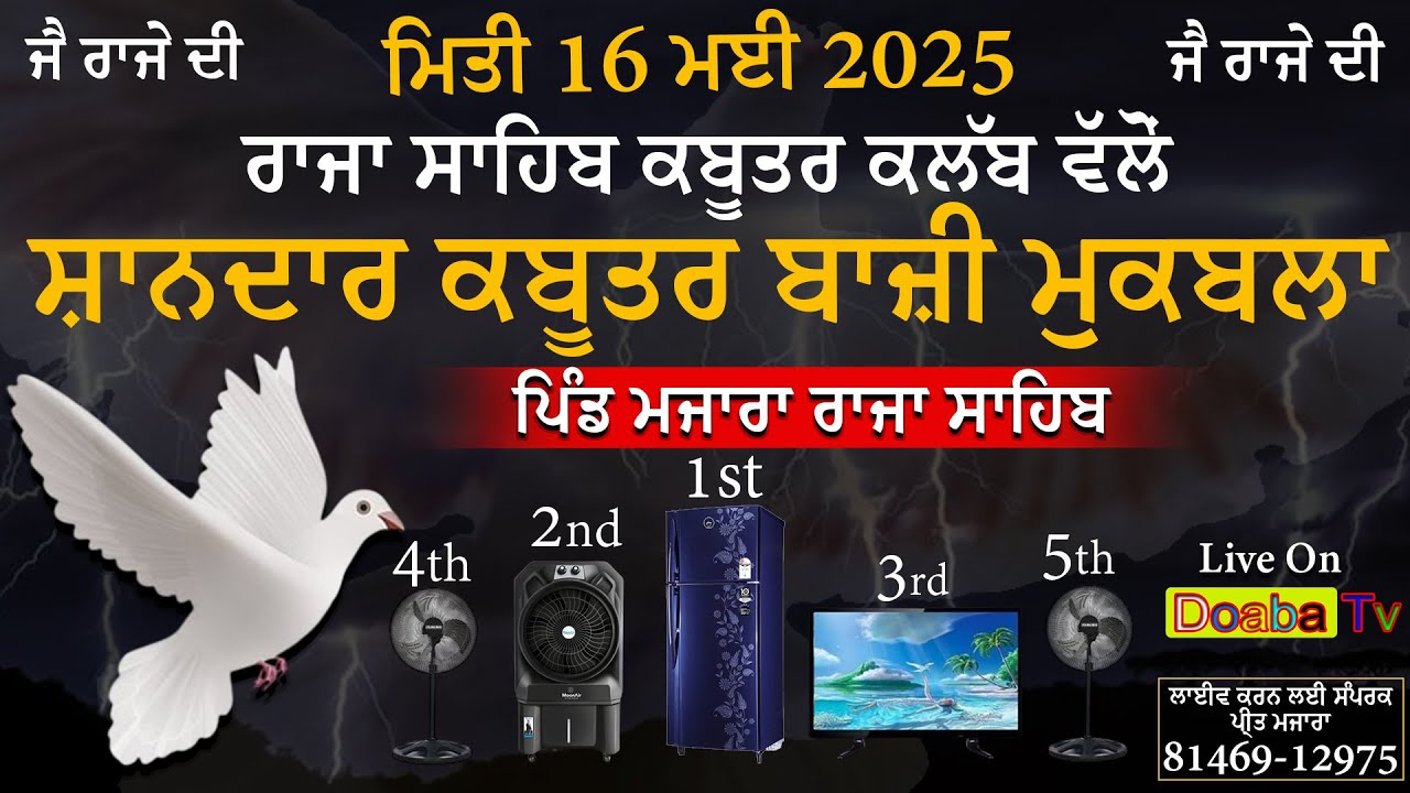 Live Kabooter Bazi Vill Mazara Raja Sahib (SBS Nagar) 16 May 2025