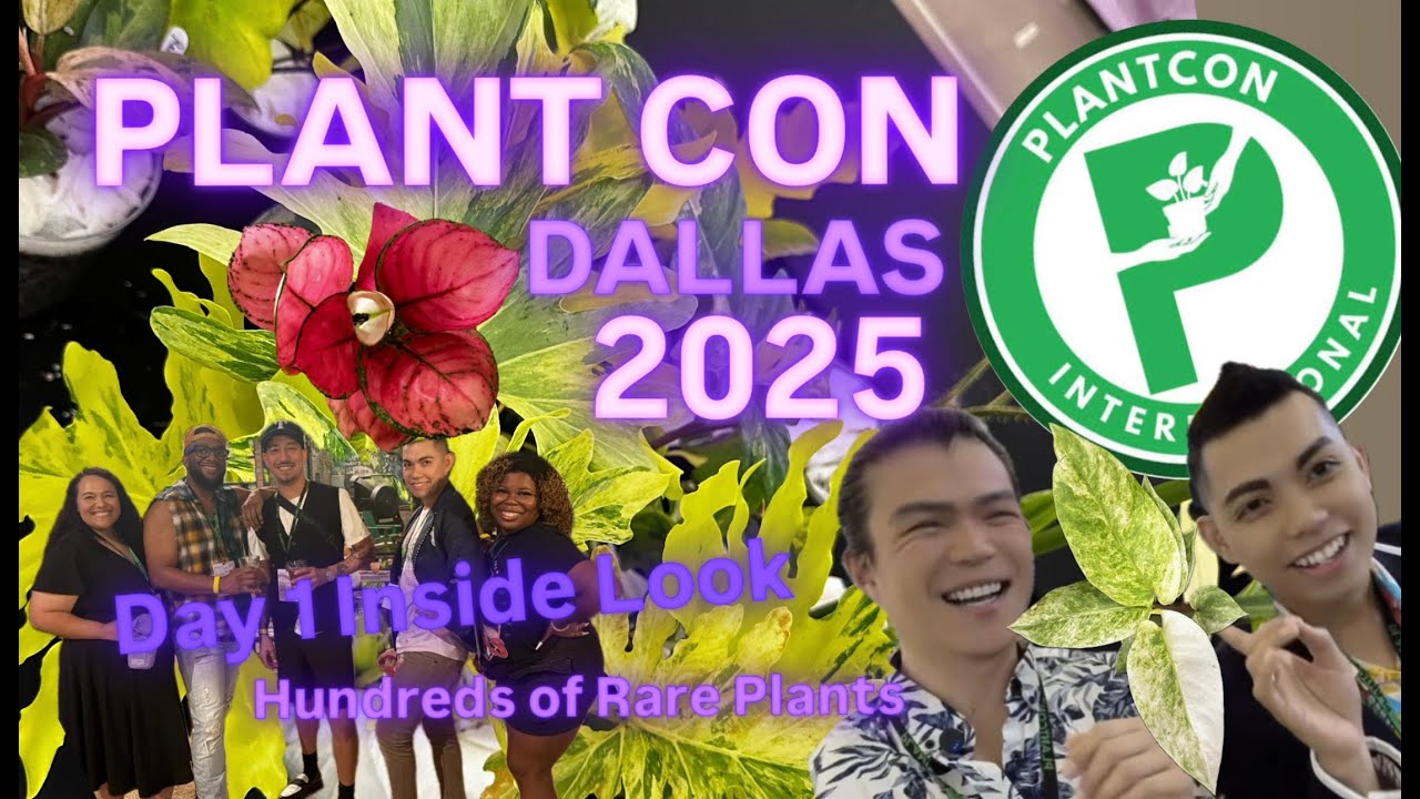 Plant Con Dallas 2025 Rare Variegated Plants Day 1 Inside Look at Plant Show Walk Through