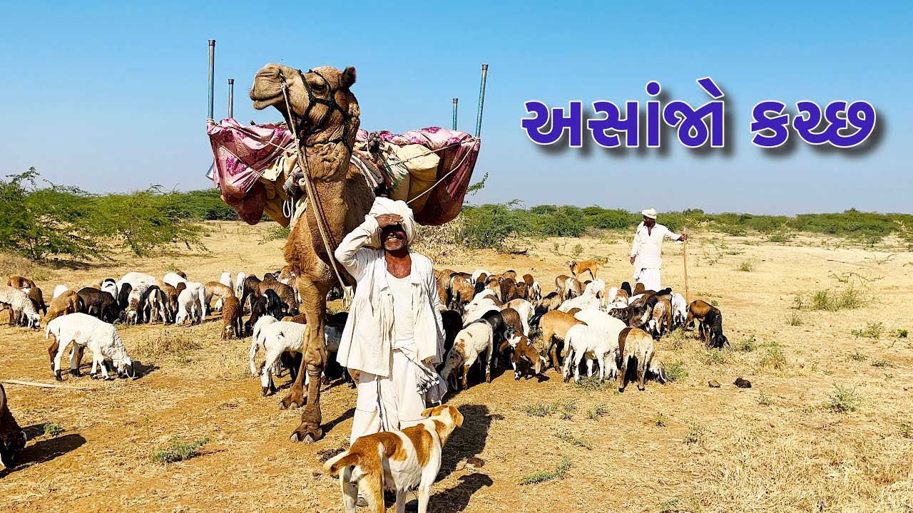 અસાંજો કચ્છડો બારે માસ