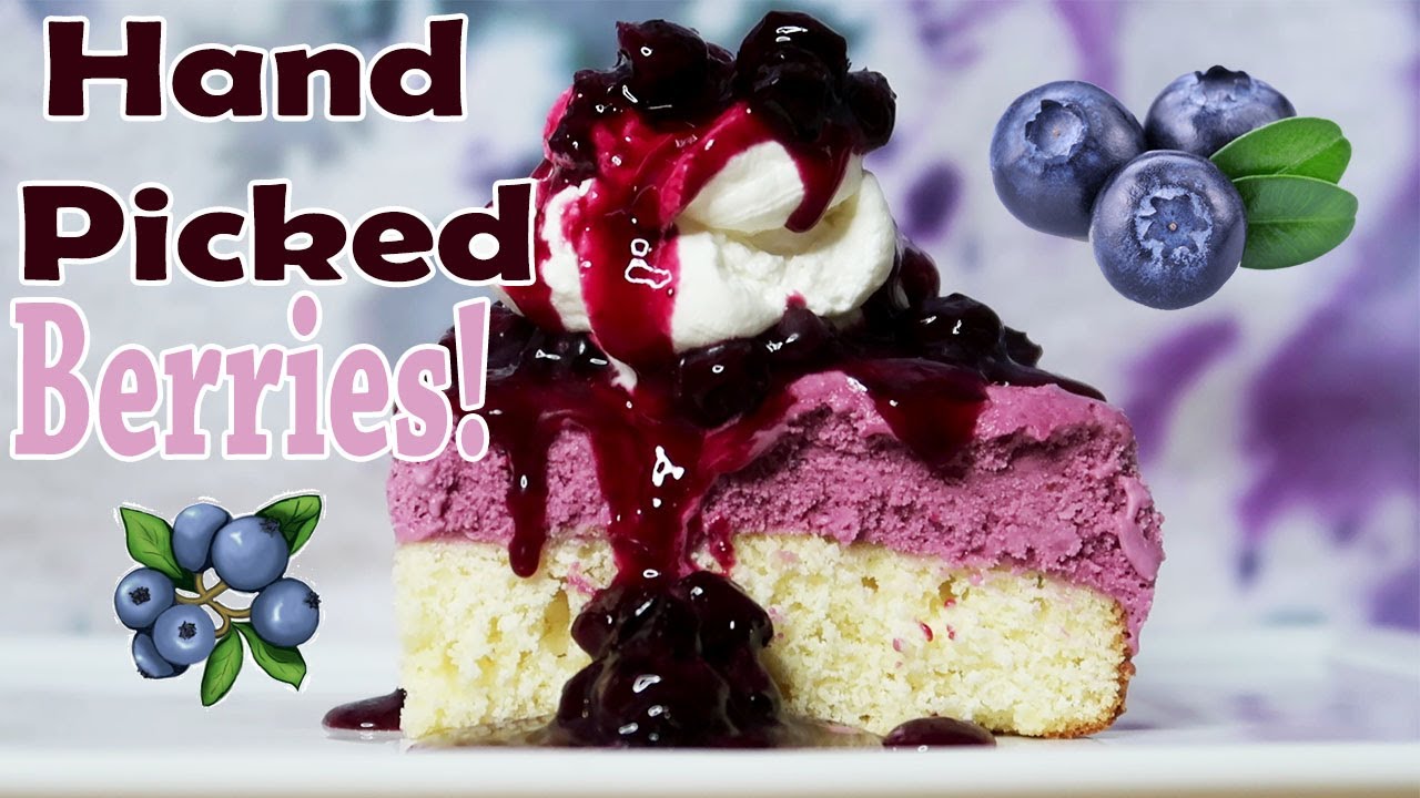 Blueberry Shortcake Ice Cream Bars w/ Fresh Whipped Cream || THE IceCreamQueen