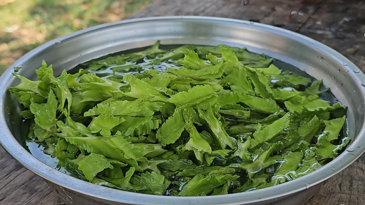 SIGARILYAS EXPRESS | PAGKAING BUKID | OUTDOOR COOKING |Team AgustinTV 