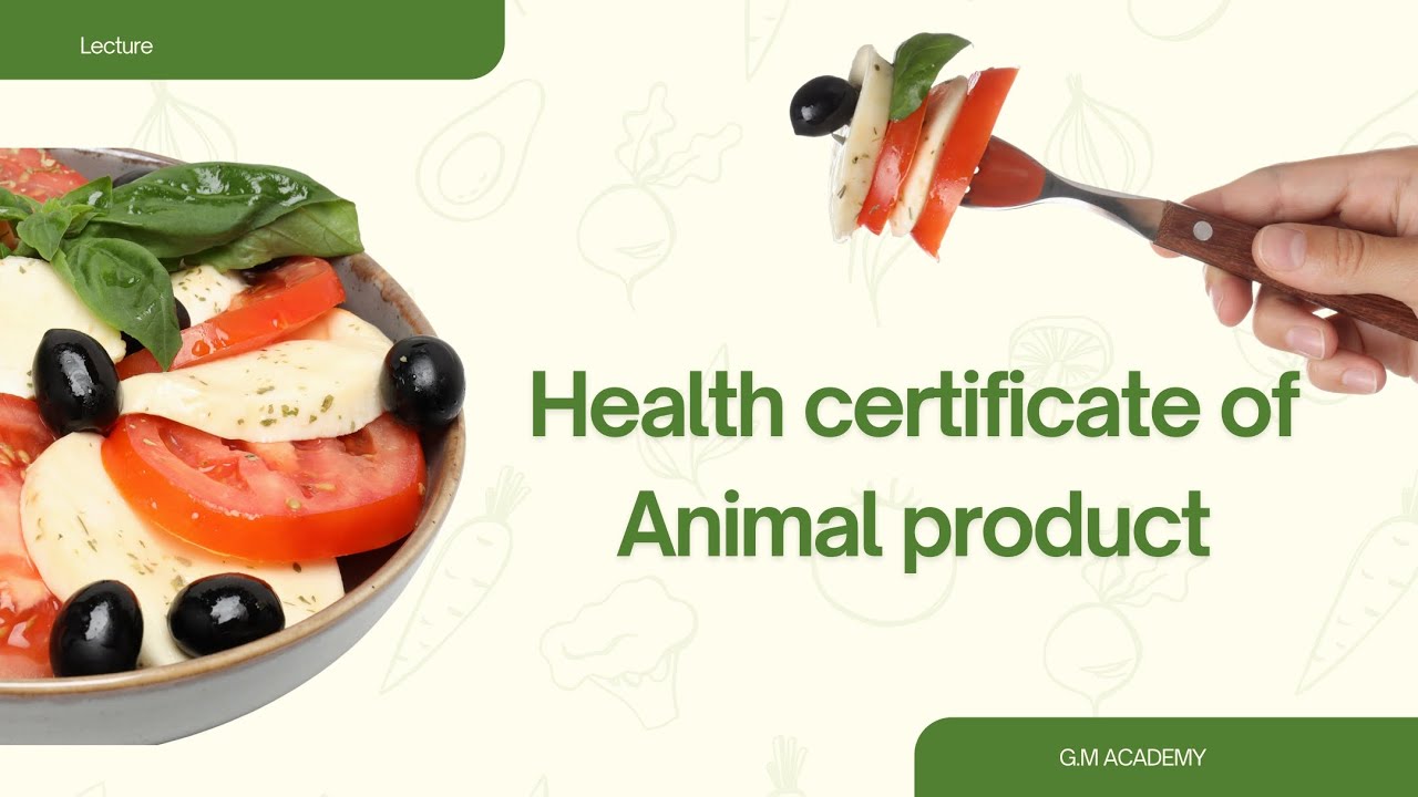 Health certificate of Animal product ❗