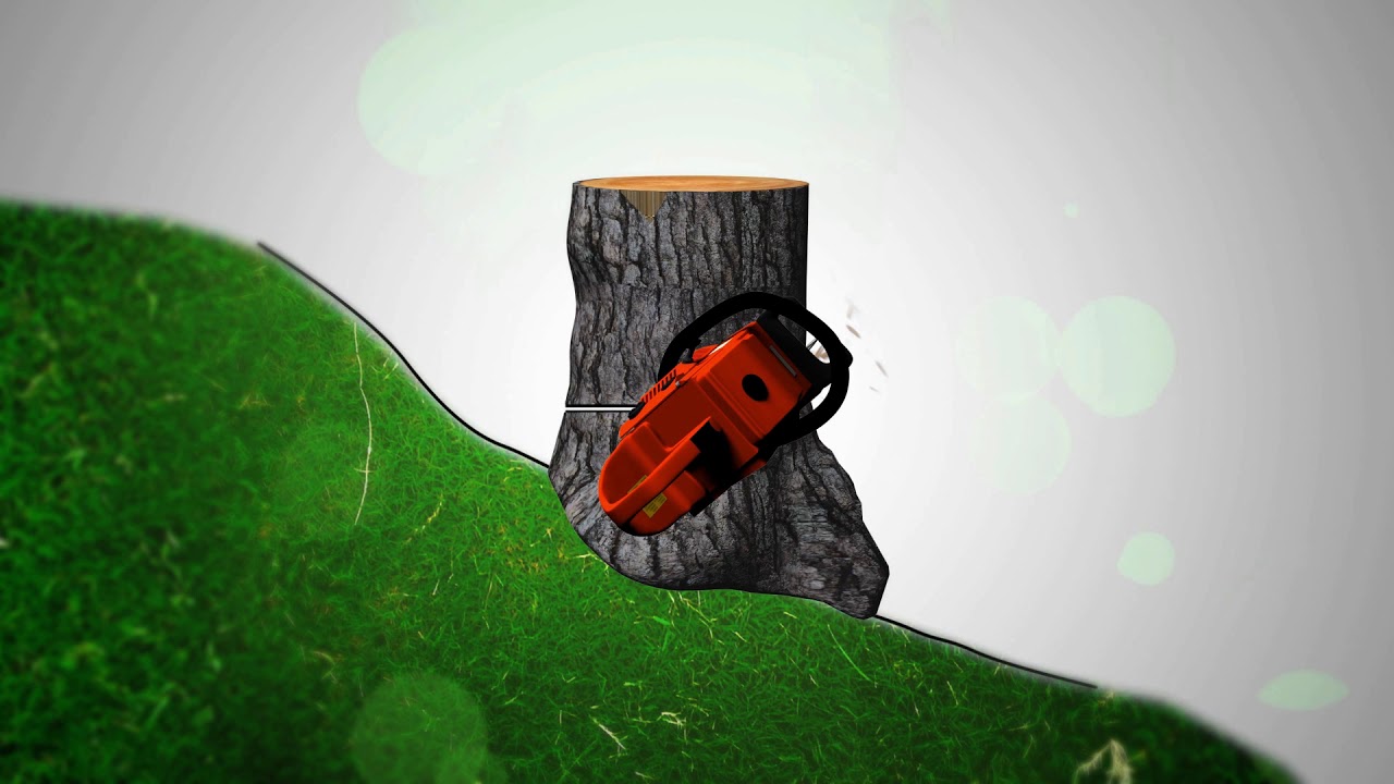 Zasady bezpiecznej ścinki