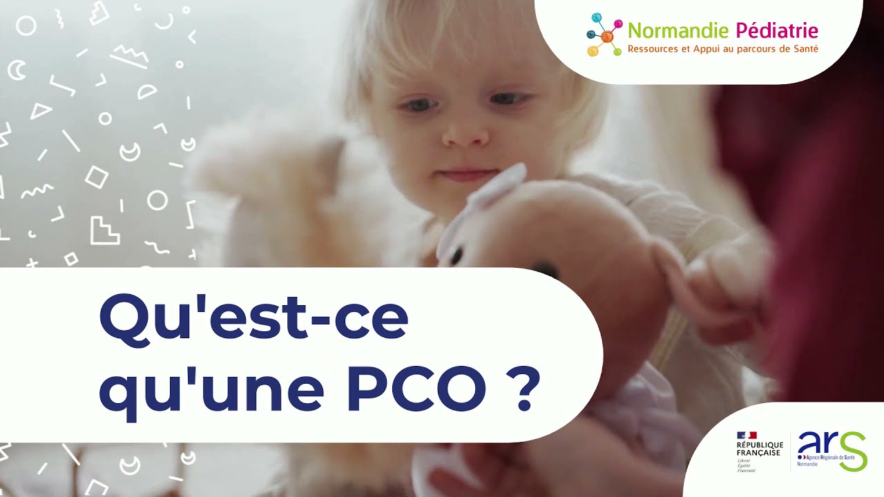 Qu'est-ce qu'une Plateforme de Coordination et d&rsquo;Orientation (PCO) ?