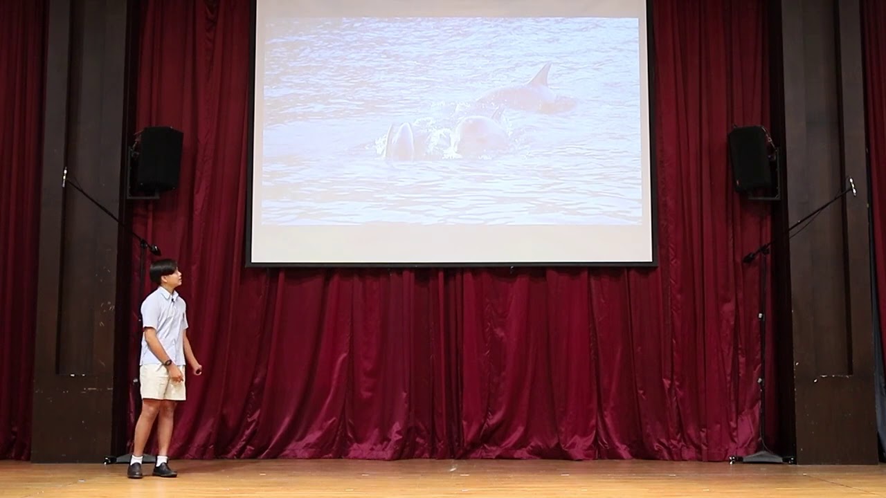 Online learning: The future for students | Tarit Hongsyok | The British International School Phuket