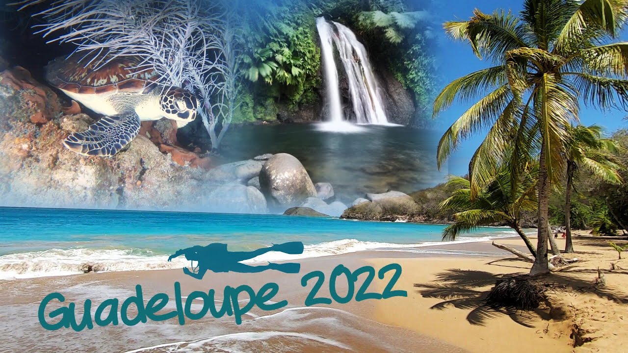 Guadeloupe  2022 plongée ++
