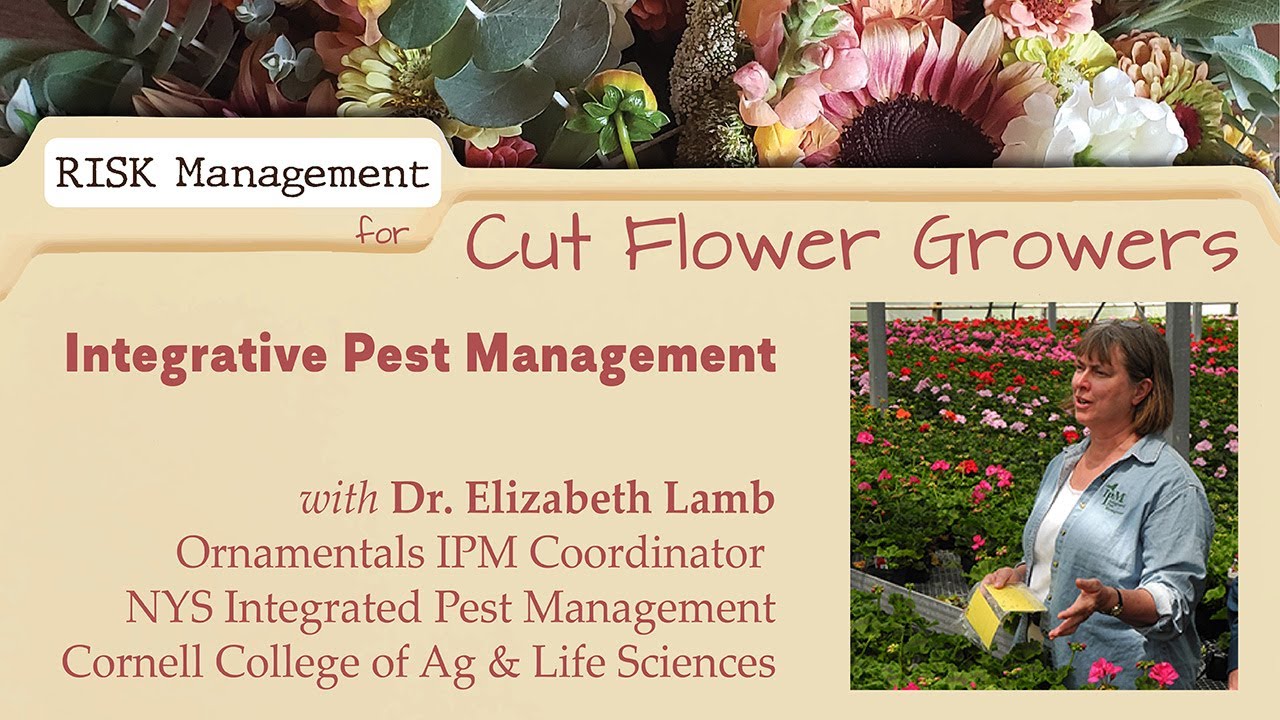 Integrated Pest Management for Cut Flower Growers with Dr. Betsy Lamb of NYS IPM
