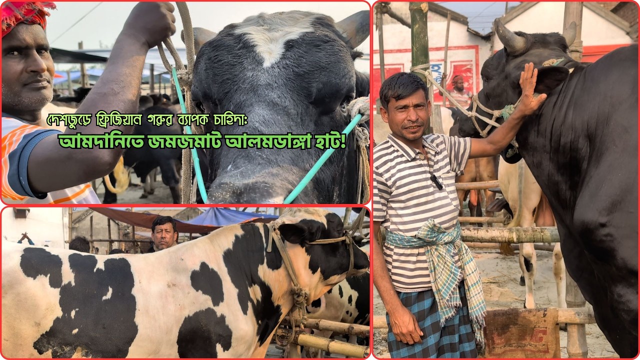 @ফিজিয়ান কালেকশন ! আমদানিতে রেকর্ড গড়ল আজকের বাজার। Alomdanga haat