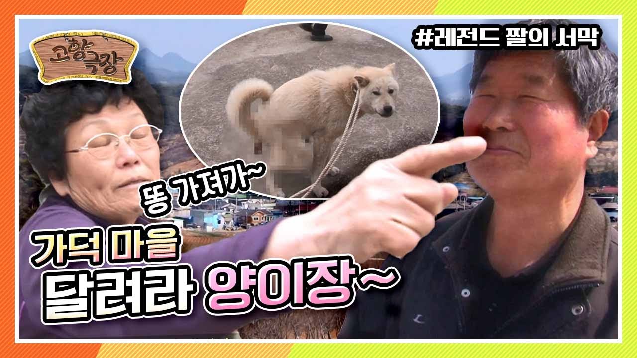[다시보는 고향극장] 가덕 마을 양이장은 과연 연임에 성공 할 수 있을 것인가? '달려라 양이장~' KBS 130411 방송