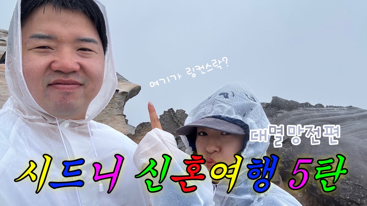 Ep.5 호주신혼여행🇦🇺 비오는 블루마운틴 링컨스락 세자매봉 날씨핵절망편 | 포시즌스호텔시드니 오페라하우스뷰, 페더데일동물원