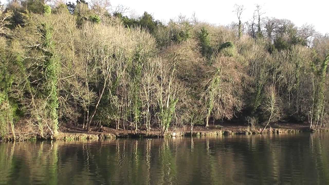 Time Out Walks,Book 1, Walk 24, Cookham to Maidenhead. 15/1/12.