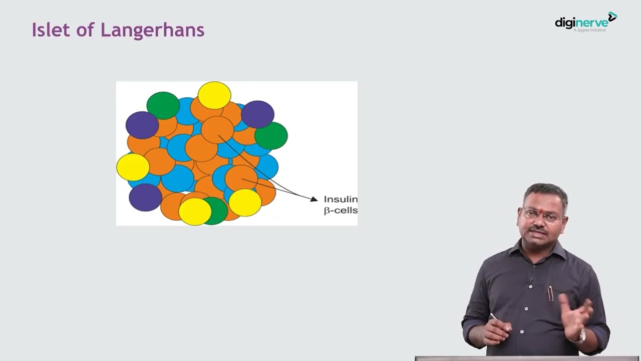 Understanding Diabetes Mellitus | Dr Archith Boloor