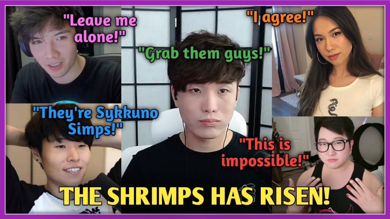 Toast, Abe, John and Jodi Experienced Sykkuno's Sprout Simp Army | Playing Fall Guys with Chat