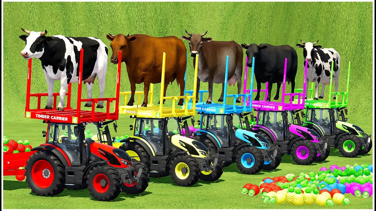 LOAD & TRANSPORT HAY BALES WITH CASE SUPER TRACTORS! Farming Simulator 22