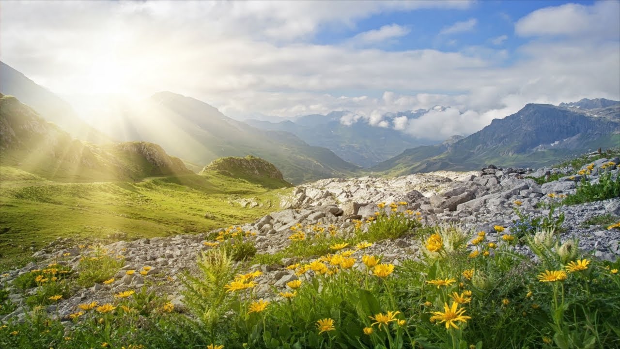 Beautiful Relaxing Music, No Loops, Sleep Music, Study Music, Meditation Music