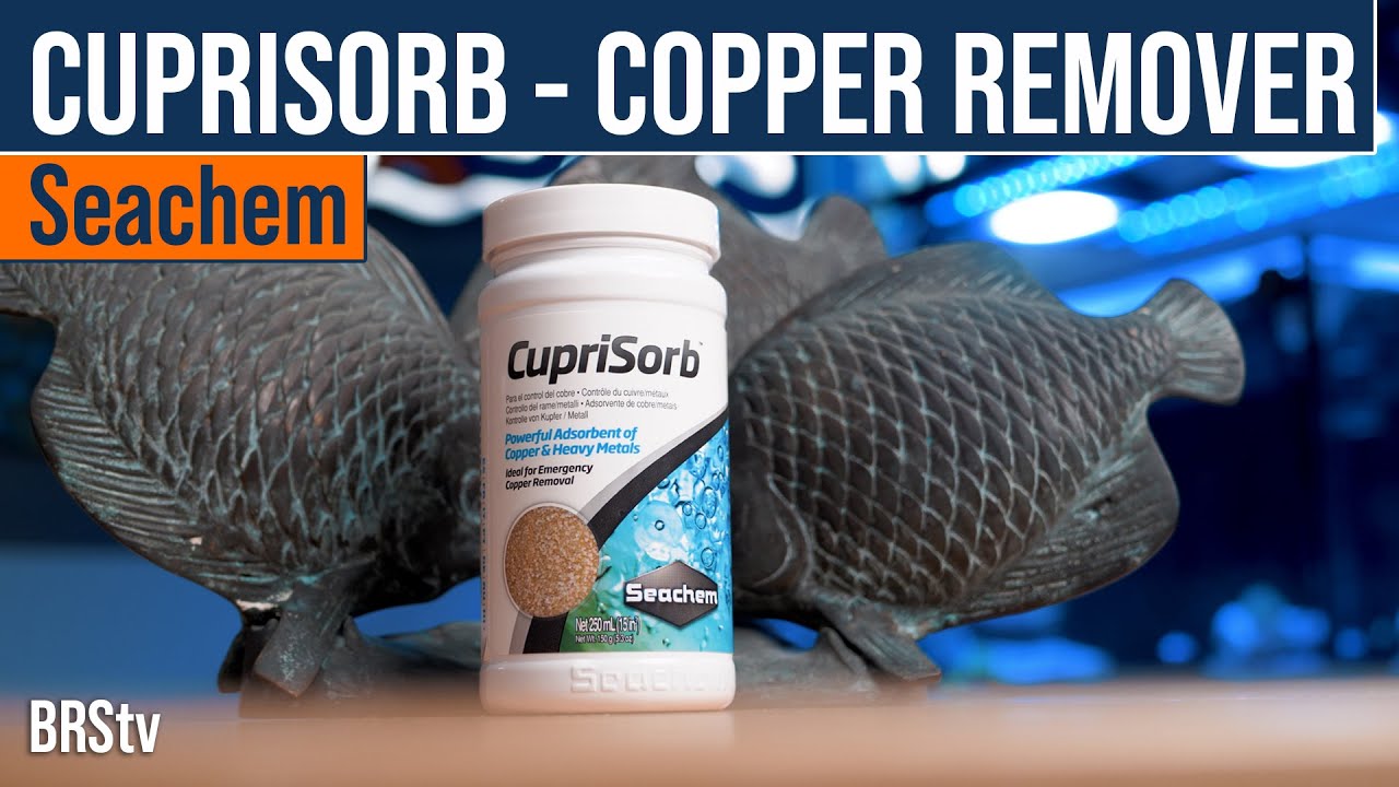 Copper Or Heavy Metals In Your Reef Tank?! Seachem CupriSorb Can Help Remove Them.
