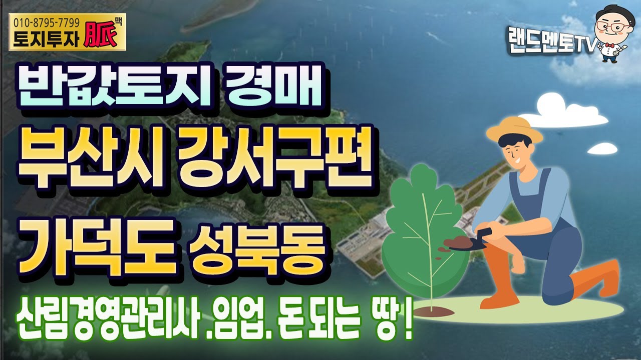 반값토지경매/부산 강서구편/가덕도 가덕신공항/산림경영관리사/돈되는 경매#반값경매#경매#가덕도
