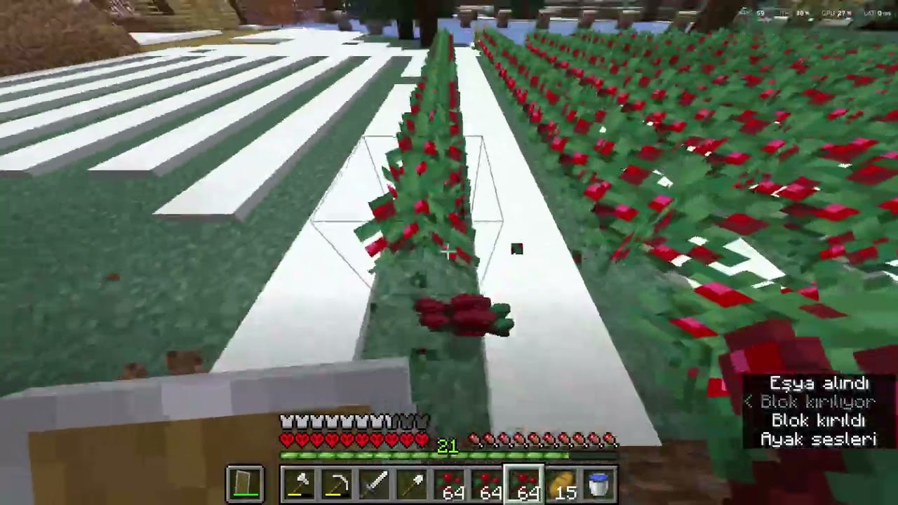 minecraft hardcore 11. bölüm