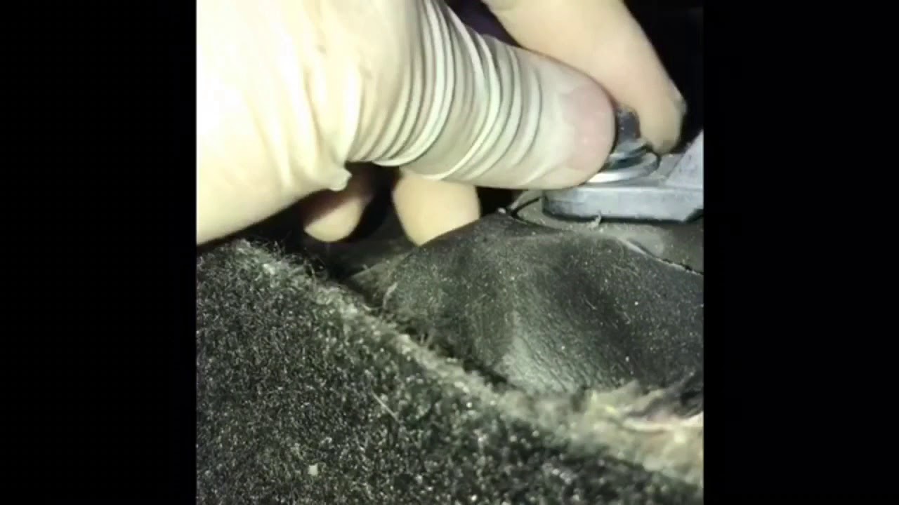 How To Replace/Take Off AirBag Module on 2012 Scion xB